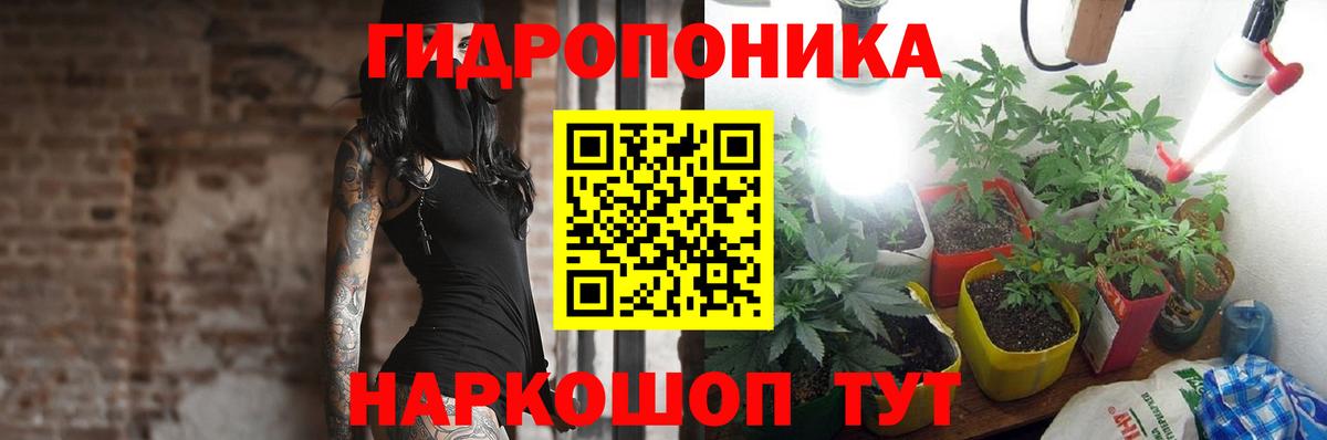Канабис Amnesia  Марихуана марихуана  Вход с VPN  Миллерово  Бошки марихуана SATIVA & INDICA 